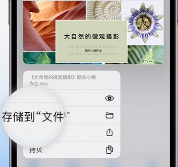 长寿apple维修中心分享iPhone文件应用中存储和找到下载文件