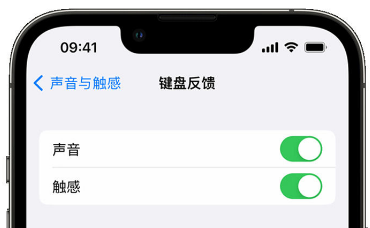 长寿苹果手机维修分享iPhone 14触感键盘使用方法 