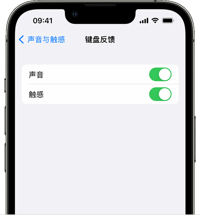 长寿苹果14维修店分享如何在 iPhone 14 机型中使用触感键盘 