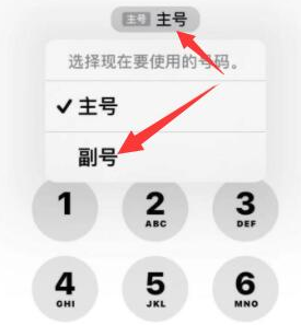 长寿苹果14维修店分享iPhone 14 Pro Max使用副卡打电话的方法 