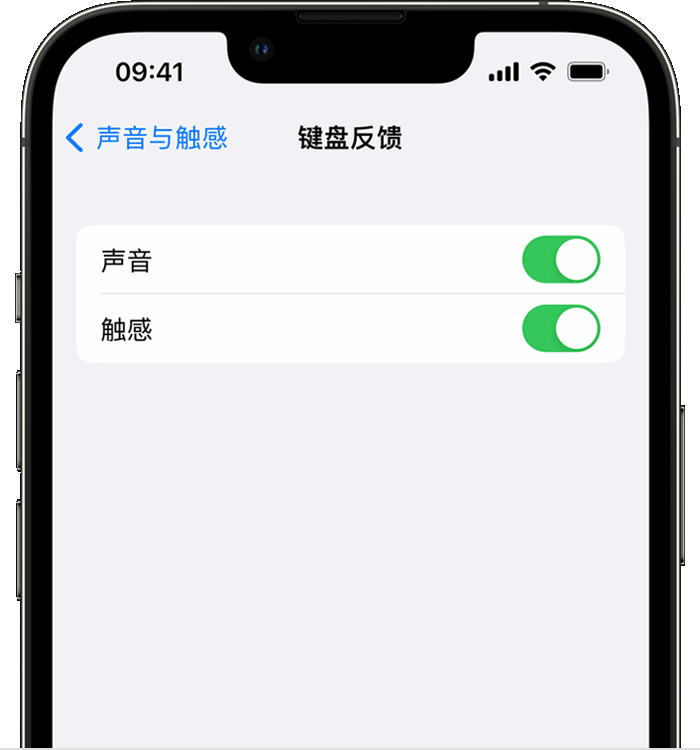 长寿苹果14维修分享iPhone 14 系列机型如何开启键盘声音或触感反馈 