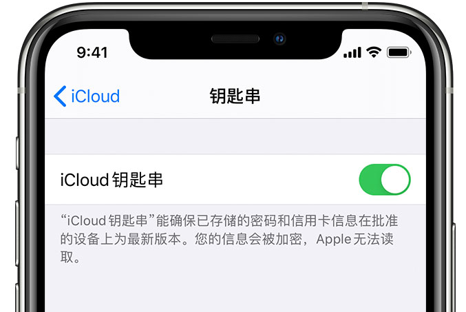 长寿苹果手机维修分享在 iPhone 上开启 iCloud 钥匙串之后会储存哪些信息 