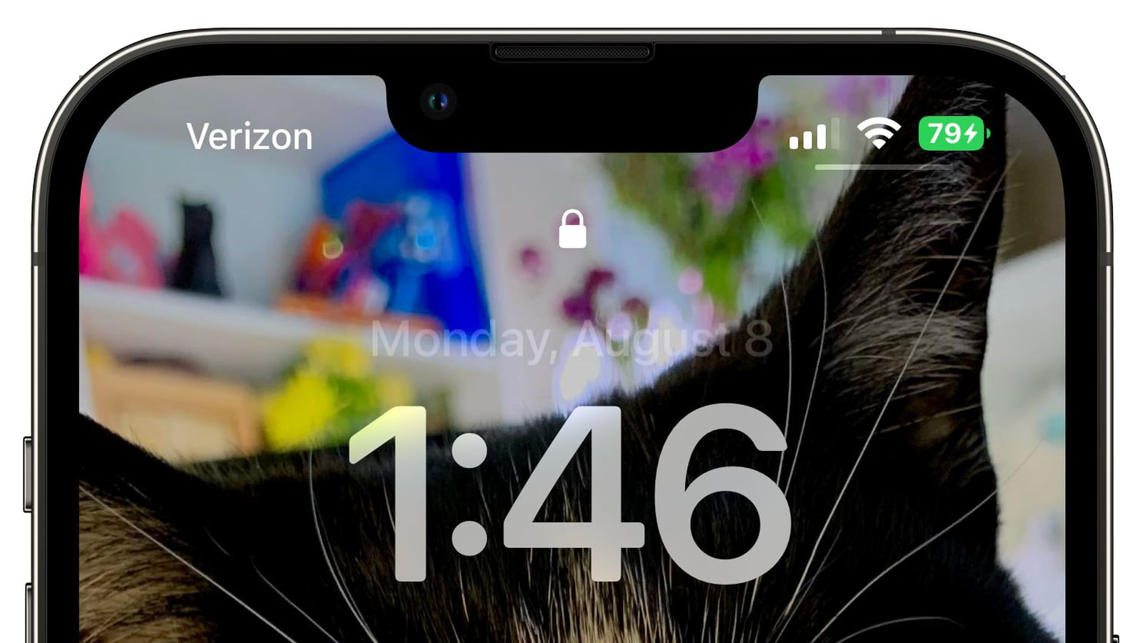 长寿苹果手机维修分享iOS 16 beta 5 支持状态栏显示电池百分比，如何开启？支持哪些机型 