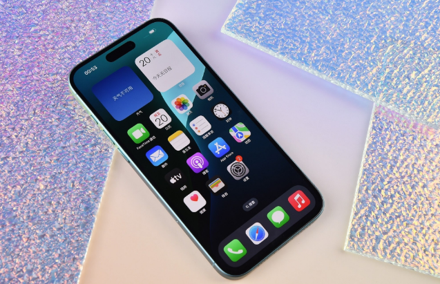 长寿苹果手机维修分享为什么大家不喜欢苹果iPhone 16 Plus 