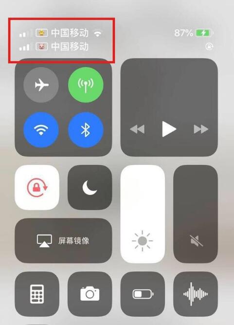 长寿苹果手机维修分享为 iPhone 12 双卡设置标签 